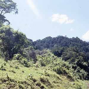 Monte Elgon