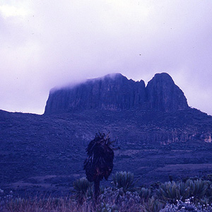 Monte Elgon