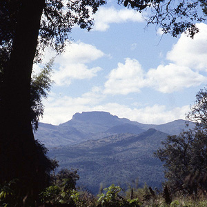 Monte Elgon