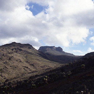 Monte Elgon