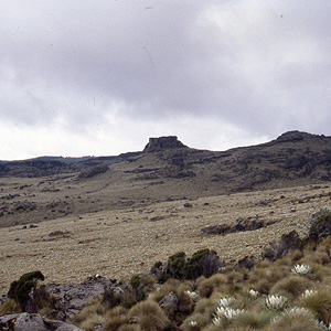 Monte Kenya