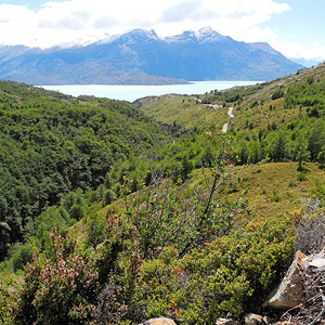 Patagonia de mar a mar