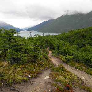 Patagonia de mar a mar