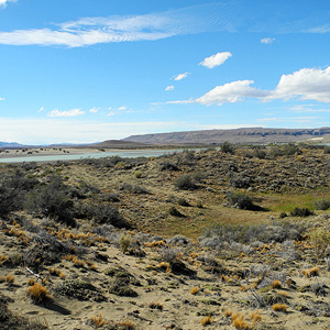 Patagonia de mar a mar