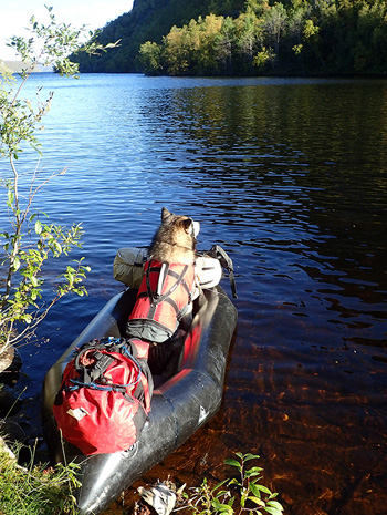 Stabbursdalen National Park