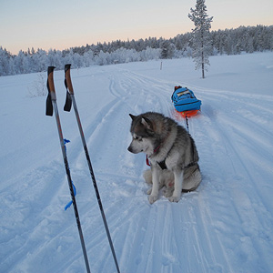 Hetta-Pallas trail