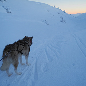 Hetta-Pallas trail