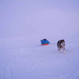 Hetta-Pallas trail