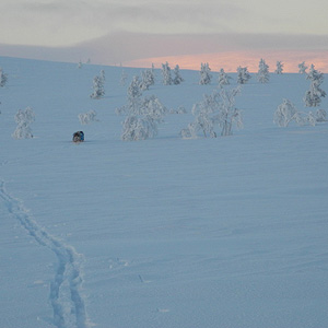 Hetta-Pallas trail