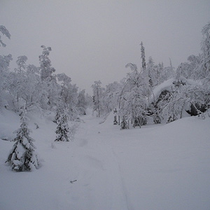 Hetta-Pallas trail