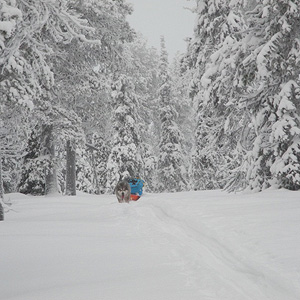 Hetta-Pallas trail