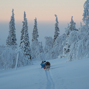 Hetta-Pallas trail