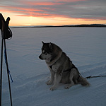 Inari Sur-Norte