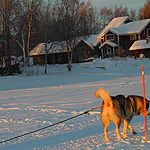 Inari Sur-Norte