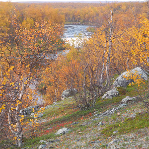 Rio Karasjok