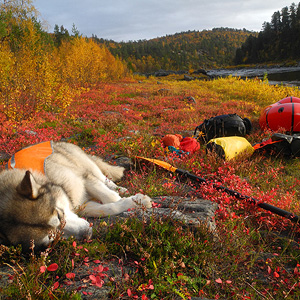 Rio Karasjok