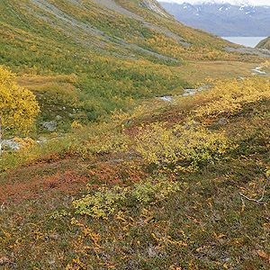 Otoño en Lyngen