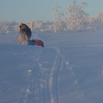 Paseo por la llanura del Finnmark