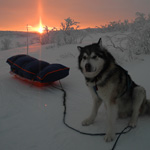 Paseo por la llanura del Finnmark