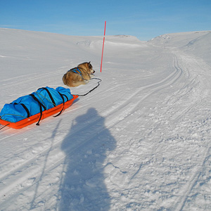 península de varanger