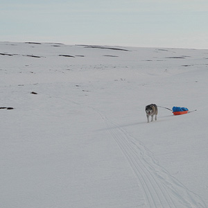 península de varanger