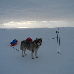 península de varanger