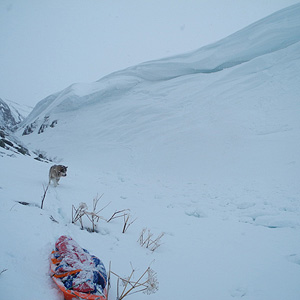 península de varanger