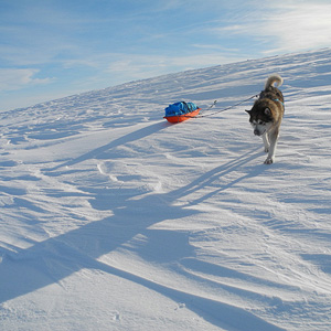 península de varanger