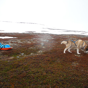 península de varanger