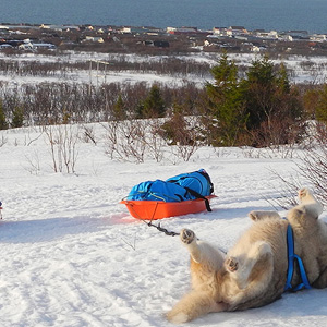 península de varanger