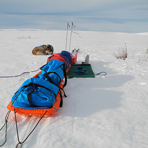 península de varanger