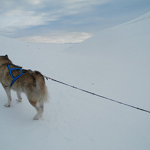 península de varanger