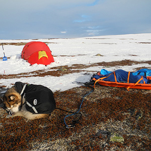 península de varanger