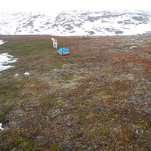 península de varanger