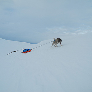 península de varanger