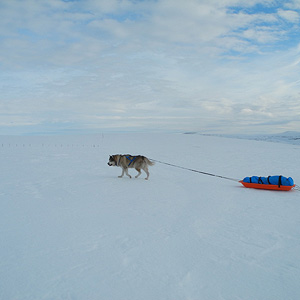 península de varanger