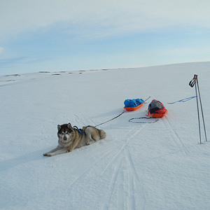 península de varanger