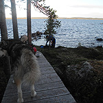 remando en el lago Inari