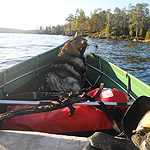 remando en el lago Inari