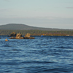 remando en el lago Inari