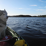 remando en el lago Inari