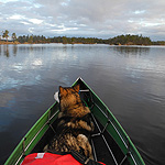 remando en el lago Inari