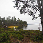 remando en el lago Inari