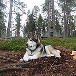 remando en el lago Inari