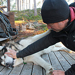 remando en el lago Inari