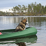 remando en el lago Inari