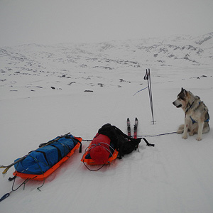 SØRØYA PÅ LANGS