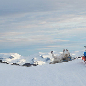 SØRØYA PÅ LANGS