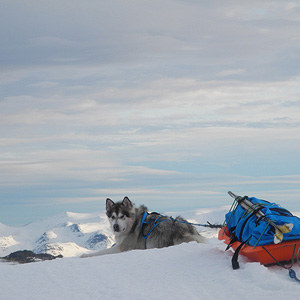 SØRØYA PÅ LANGS