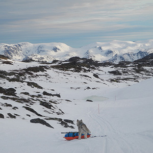 SØRØYA PÅ LANGS